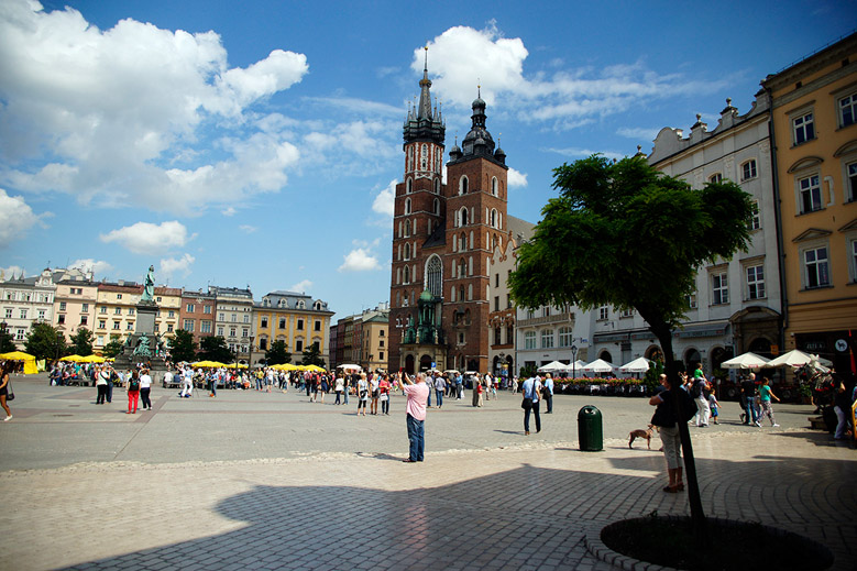 პორტფოლიო