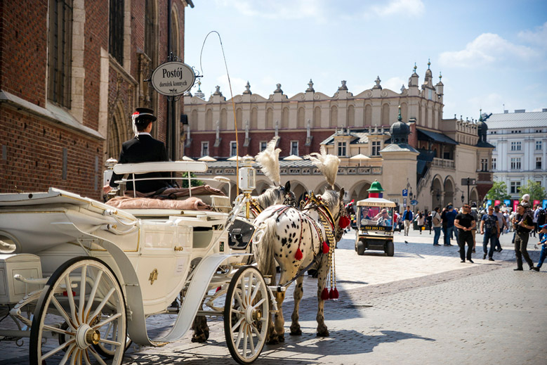 პორტფოლიო