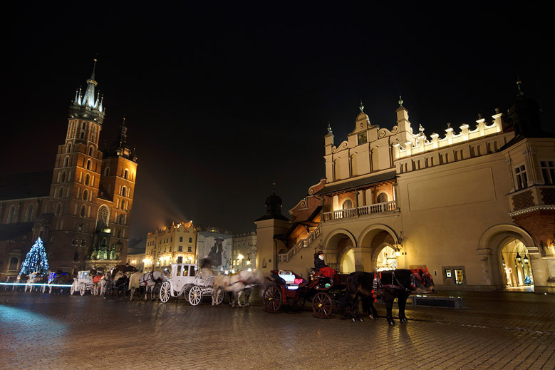 პორტფოლიო